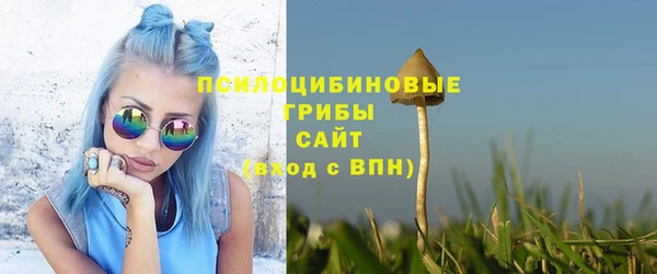 спиды Нея
