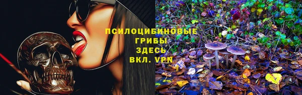 спиды Нея