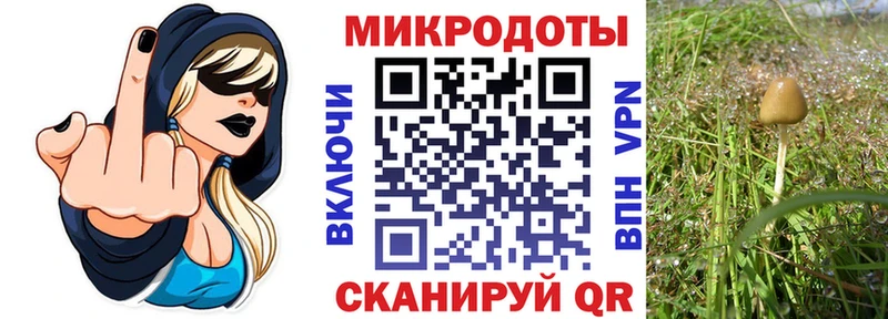 Псилоцибиновые грибы Psilocybine cubensis  мега tor  Кизилюрт 