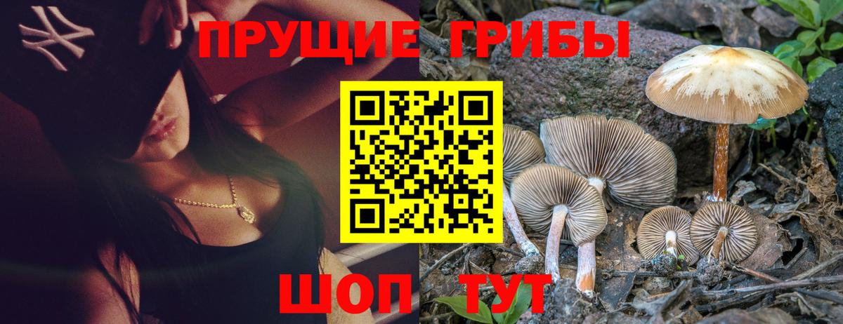 Псилоцибиновые грибы Psilocybine cubensis  Вход с VPN  Галлюциногенные грибы ЛСД  Кизилюрт 