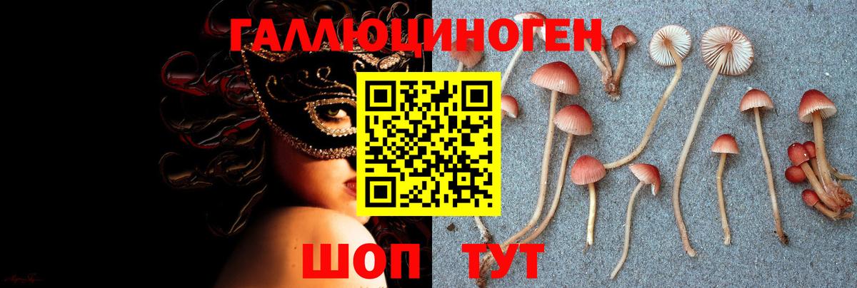 Кизилюрт  ГАШИШ  Вход с VPN  Мефедрон   APVP СК кристаллы  Конопля  Cocaine 